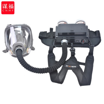 CNMF/谋福 243 供气式防毒面具防尘喷漆用电动送风呼吸器农药甲醛面罩（XLSFA6-6802） 100018428110