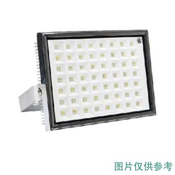 亚牌 LED泛光灯，白光，ZY338-100A220A-5700K790DGXY (100W)，单位：个