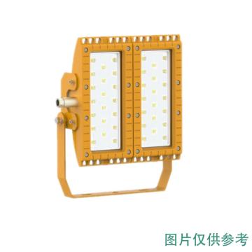 新曙光 LED泛光灯，100W，白光，NFK5091，含U型支架，单位：个