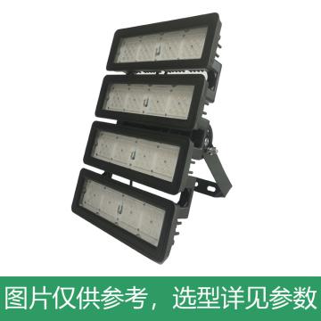 新曙光 LED泛光灯，400W，白光，NFK3613，含U型支架，单位：个