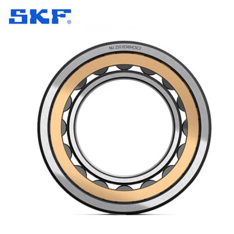 SKF/斯凯孚 圆柱滚子轴承 BC1-0313