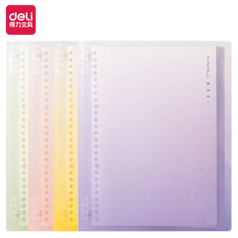 Deli/得力 纽赛NS319活页本A5-40张(混)(本)
