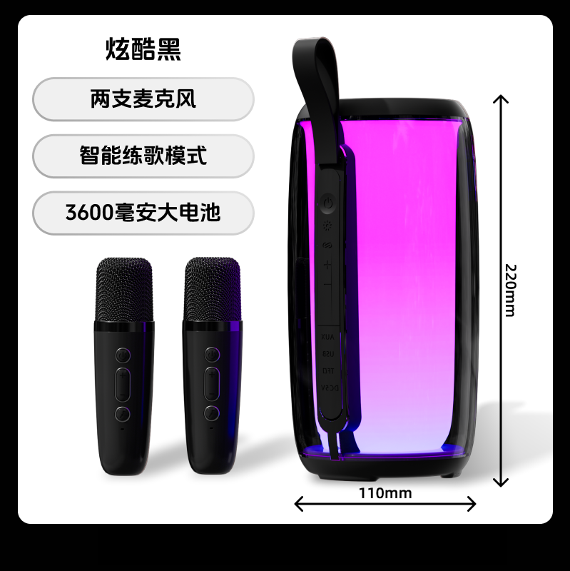 纽曼（Newmine）M18 双话筒K歌智能蓝牙音响 黑色