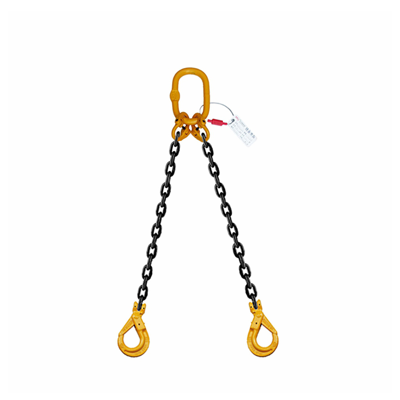 PPU/品尔优 双腿链条成套索具(羊角安全钩) UCR2-16≤-10.92t ＜≤6-7.8t -8m